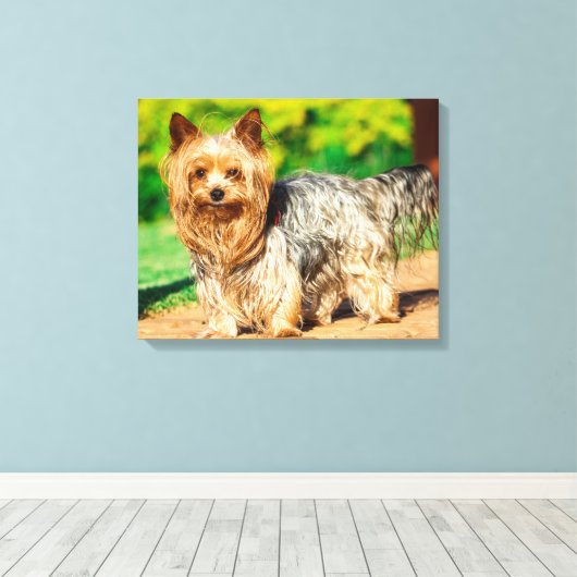 Schattig Canvas Afdruk (Insitu (Houten vloer))