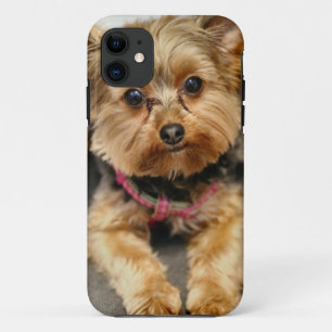 Schattig iPhone 11 Hoesje