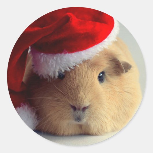 Schattig cavia in santa hoed ronde Sticker (Voorkant)