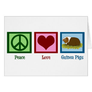 Schattig Cavia Vrede Liefde Cavia Kaart