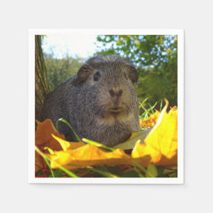 Schattig caviaatje in de natuur servet