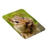 Schattig Cheeky Chipmunk Magneet (Rechterzijde)