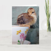 Schattig Chick On A Teacup beroemd gemaakt door An Kaart (Voorkant)