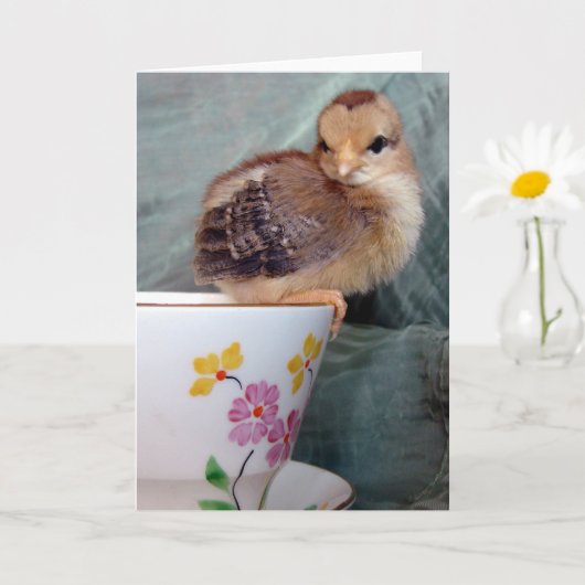 Schattig Chick On A Teacup beroemd gemaakt door An Kaart (Kleine Plant)