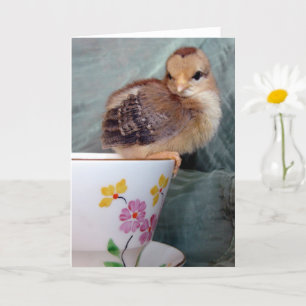 Schattig Chick On A Teacup beroemd gemaakt door An Kaart
