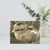 Schattig Chick Spelen in de Tuin Briefkaart (Staand voorkant)