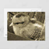 Schattig Chick Spelen in de Tuin Briefkaart (Voorkant / Achterkant)