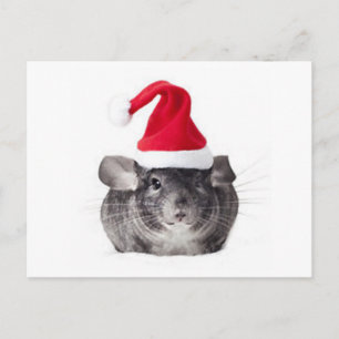 Schattig Chinchilla Santa Model Feestdagenkaart