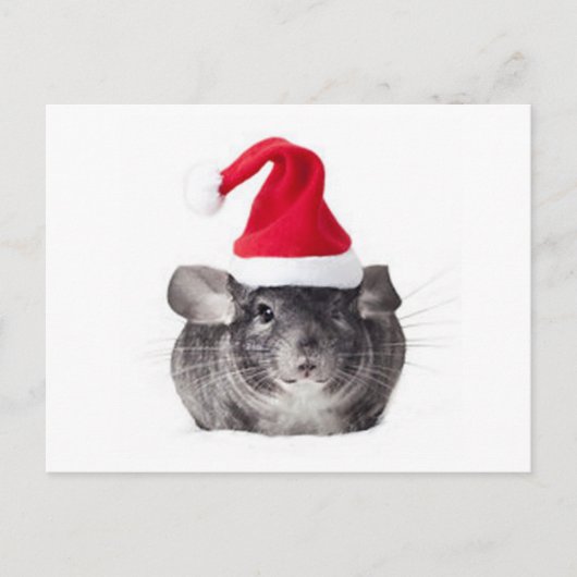 Schattig Chinchilla Santa Model Feestdagenkaart (Voorkant)