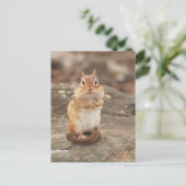 Schattig Chipmunk briefkaart (Staand voorkant)