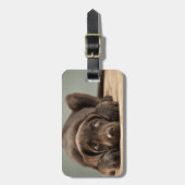 Schattig Chocolade Lab Puppy Design Bagagelabel (Voorkant verticaal)