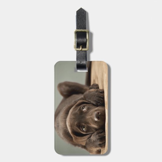 Schattig Chocolade Lab Puppy Design Bagagelabel (Voorkant verticaal)