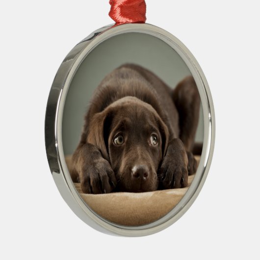 Schattig Chocolade Lab Puppy Design Metalen Ornament (Rechts)