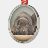 Schattig Chocolade Lab Puppy Design Metalen Ornament (Links)