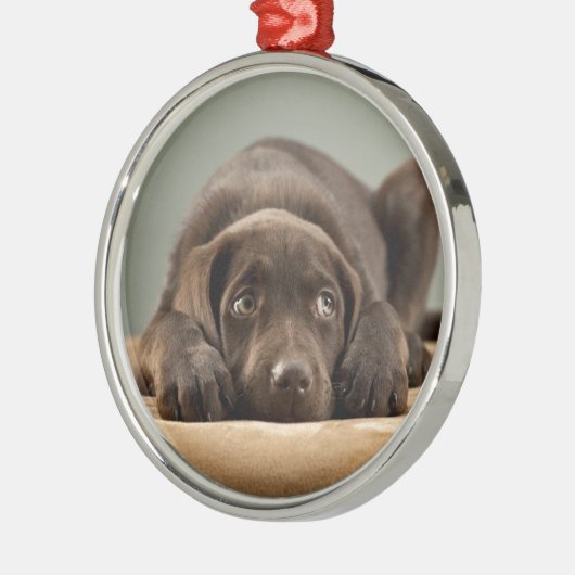 Schattig Chocolade Lab Puppy Design Metalen Ornament (Links)