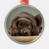 Schattig Chocolade Lab Puppy Design Metalen Ornament (Voorkant)