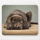 Schattig Chocolade Lab Puppy Design Muismat (Voorkant)