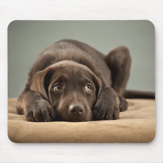 Schattig Chocolade Lab Puppy Design Muismat (Voorkant)