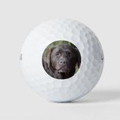 Schattig chocolade labrador Retriever Golfballen (Voorkant)