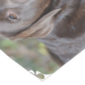 Schattig chocolade labrador Retriever Korte Tafelloper (Hoek)
