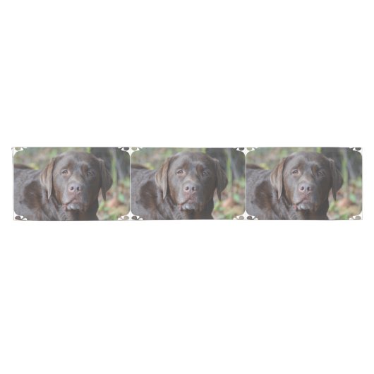 Schattig chocolade labrador Retriever Korte Tafelloper (Horizontaal)