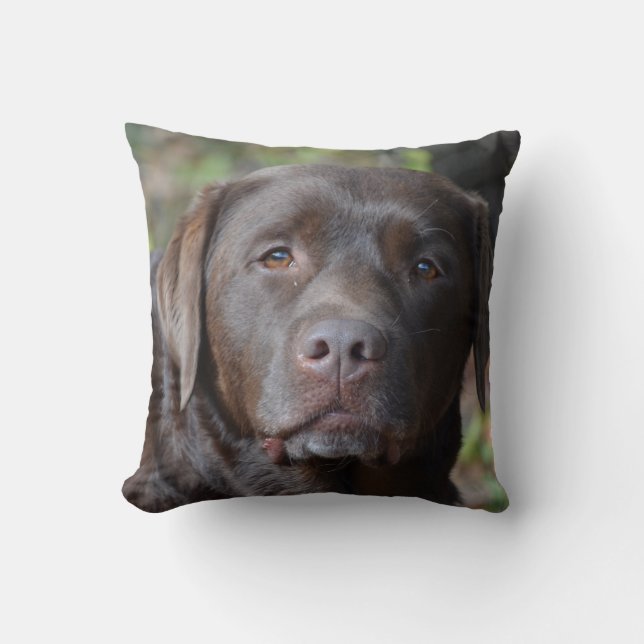 Schattig chocolade labrador Retriever Kussen (Voorkant)