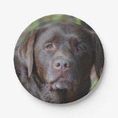 Schattig chocolade labrador Retriever Papieren Bordje (Voorkant)