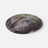 Schattig chocolade labrador Retriever Papieren Bordje (Gekanteld)