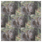 Schattig chocolade labrador Retriever Stof (Swatch)