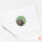 Schattig Cocker Spaniel Ronde Sticker (Envelop)
