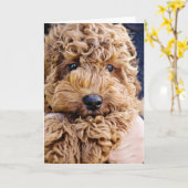 Schattig cockerpoowenskaart kaart (Gele Bloem)