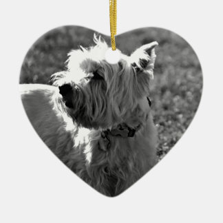 Schattig Collectie Westie Terrier Keramisch Ornament