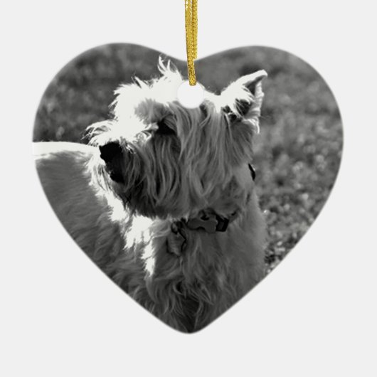 Schattig Collectie Westie Terrier Keramisch Ornament (Voorkant)