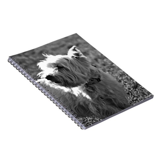 Schattig Collectie Westie Terrier Notitieboek (Rechterzijde)