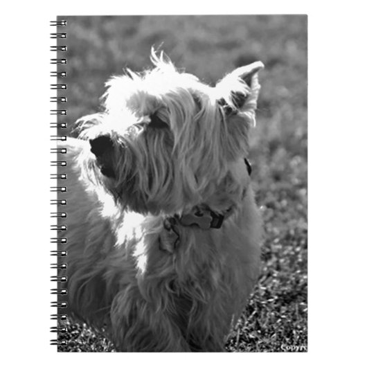 Schattig Collectie Westie Terrier Notitieboek (Voorkant)