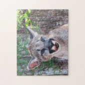 Schattig Cub - Florida Panther / Cougar / Puma Legpuzzel (Verticaal)