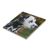 Schattig Dalmatiaans Tegeltje (Zijkant)