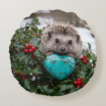 Schattig december egeltje met turquoise hart