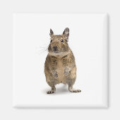 Schattig deeg magneet (Voorkant)