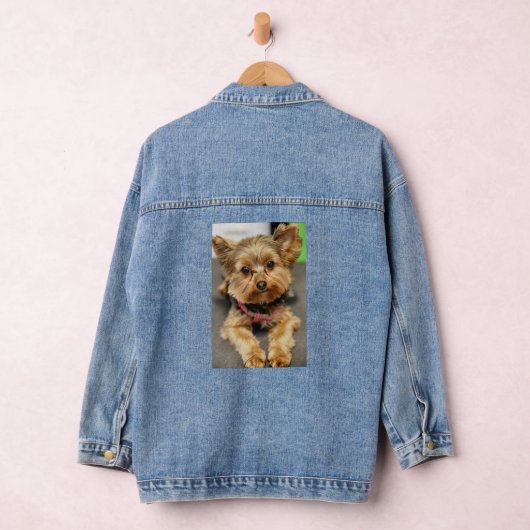 Schattig Denim Jacket (Hangar)