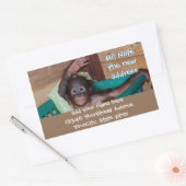 Schattig dier nieuwe adreslabels rechthoekige sticker (Envelop)