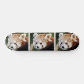 Schattig dier Rode Panda Persoonlijk Skateboard (Horizontaal)