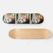 Schattig dier Rode Panda Persoonlijk Skateboard (Horizontaal)