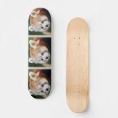 Schattig dier Rode Panda Persoonlijk Skateboard (Voorkant)