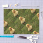 schattig dierlijk kind op delicaat papier (Craft)