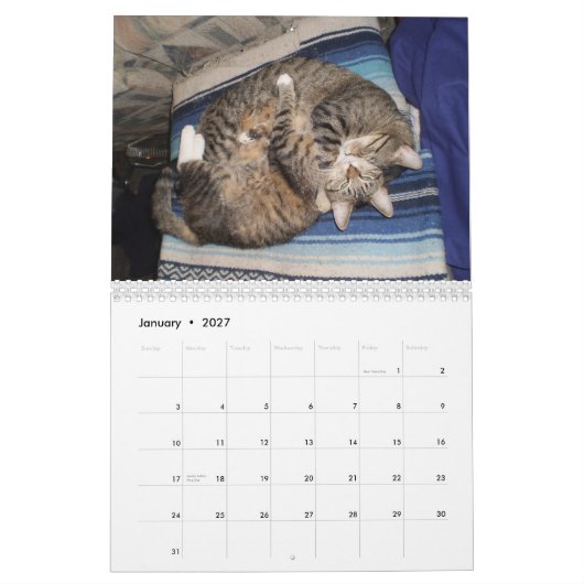Schattig dierschema kalender (Jan 2027)