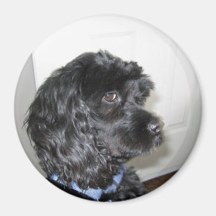 Schattig Dog Magnet
