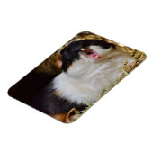 Schattig driekleurig cavia die gaapt magneet (Linkerzijde)