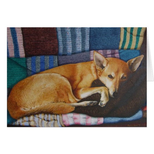 Schattig Duits Herder Labrador Dog Slapen (Voorkant Horizontaal)