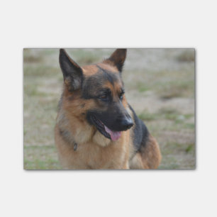 Schattig-Duitse herder Post-it® Notes